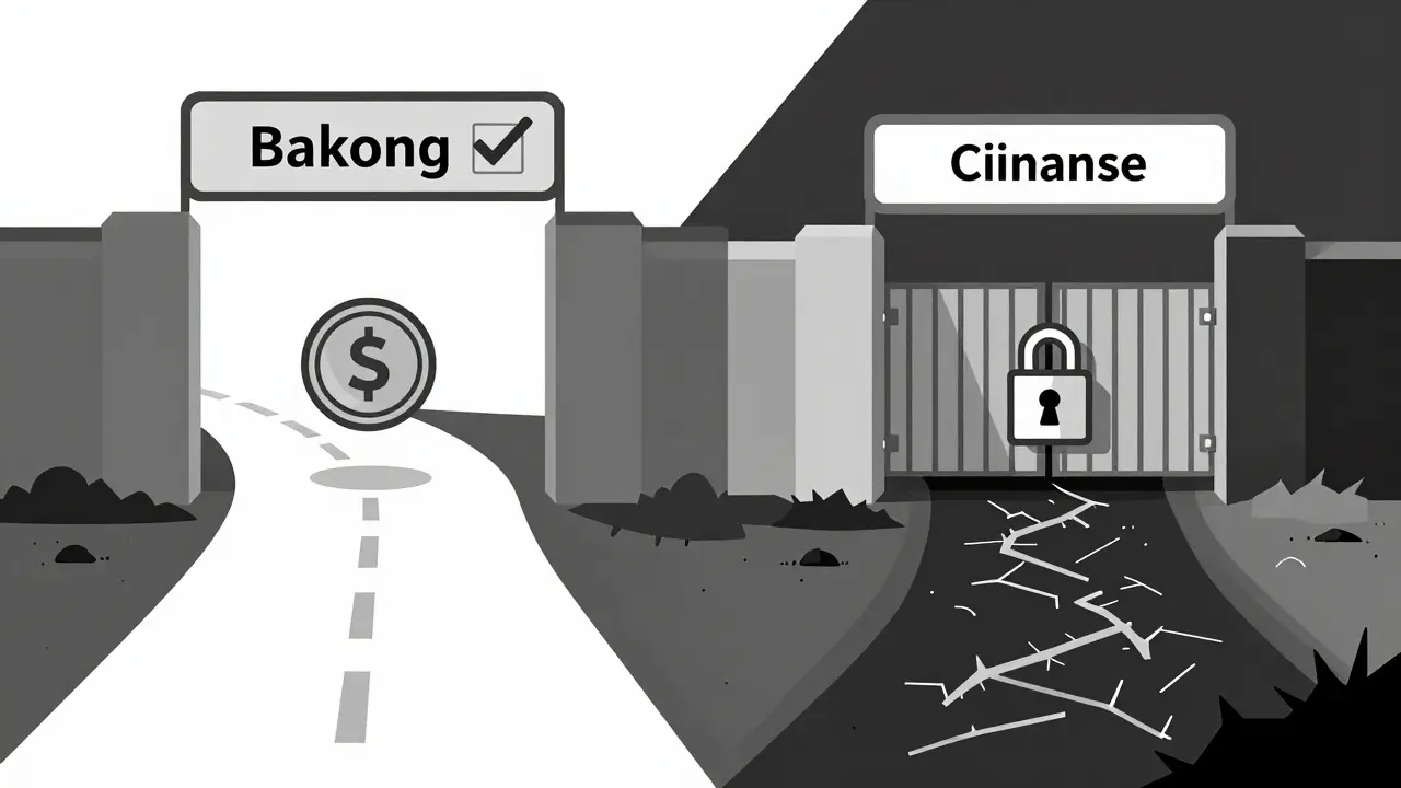 Dibujo en estilo duotono mostrando dos caminos: uno seguro con el sistema Bakong y otro bloqueado hacia intercambios prohibidos.